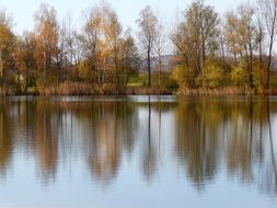 autumn trees by the lake