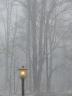 street light lamp winter mood magic scene