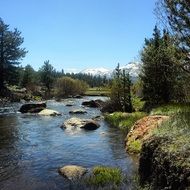 river with Rapids in wilderness