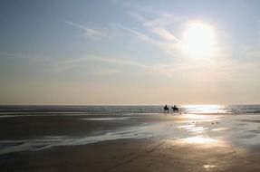 horseback riding along the North Sea