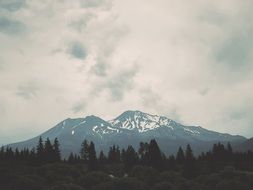 Landscape of the beautiful mountains peaks in snow and plants