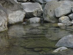 mountain stream in nature