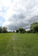 field grass landscape on a cloudy day