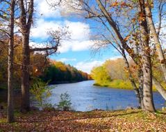 Landscape of the river and forest