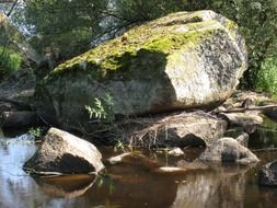 Moss covered stone near the water in summer