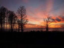 bare trees at colorful sunset sky, usa, alabama, daphne