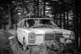 black and white photo of Mercedes in the forest