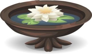 drawing water lilies in the bath