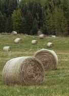 landscape of hay balls on field