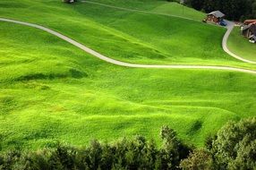 green foot of the mountain