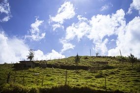 fenced meadow on hill at sky