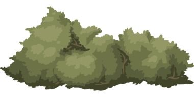 drawing of green bush