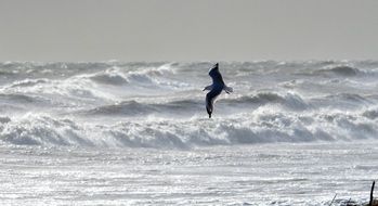 Seagull is flying over the sea with big waves