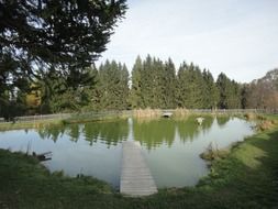 quiet lake in the forest