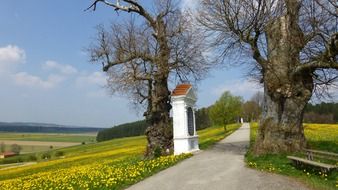 walk path in scenic countryside at spring