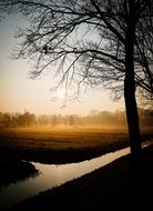 Landscape of tree near the canal during sunset