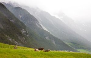 austria alps mountains