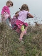 children play in the meadow in the grass