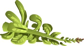 graphic image of a large green branch