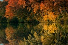 reflection of autumn trees in a pond