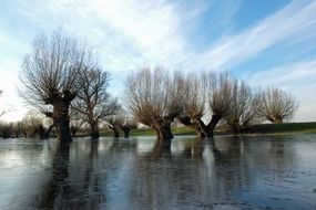 floods in Dusseldorf