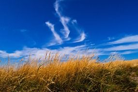 blue sky with clouds over the meadow