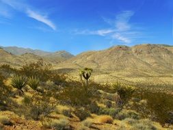 Landscape of desert in Arizona