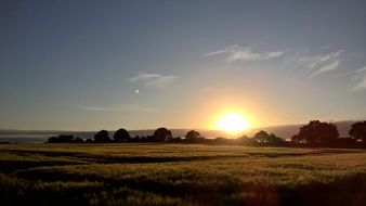 Sunset on the cornfield