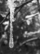 icicle in black and white background