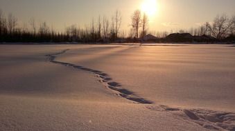 footprints in the snow on the field