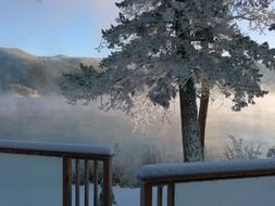 winter landscape near canim lake