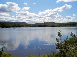 Green trees and bushes on the lake