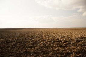 landscape of enchanting field arable