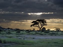 sunset over the savanna in Kenya