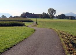 winding road through the field