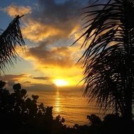 beach at the sunset on Hawaii