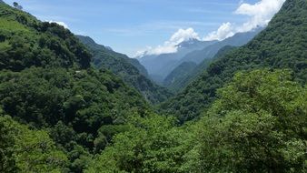 beautiful green mountains in landscape, taiwan, taroko