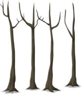 trees without leaves