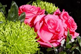 bouquet of pink roses with green chrysanthemums