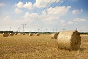 round straw bales on a field