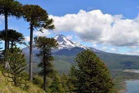 Trees in front Mountain peak in Clouds view