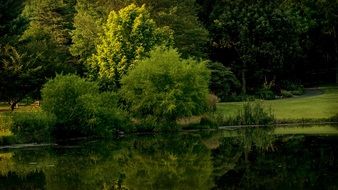 panoramic view of a botanical park in virginia
