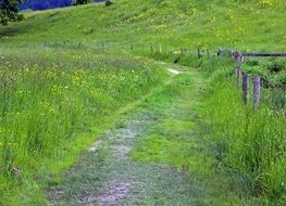 landscape of road on a green pasture