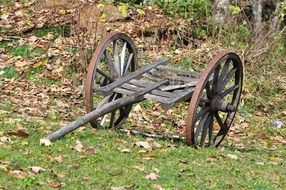 old wooden cart among the leaves