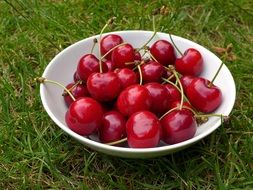 red cherries in the plate