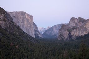 Panorama view of the forest among the rocks in Yosemite National Park