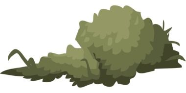 graphic drawing of a bush