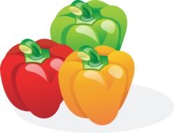 Drawing of three sweet peppers of different colors