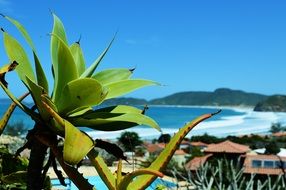 Photo of beach in Rio de Janeiro