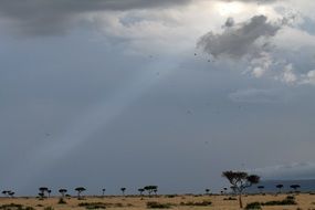 africa desert landscape